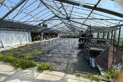 Agricolo in vendita, VIA CERCA , Settala