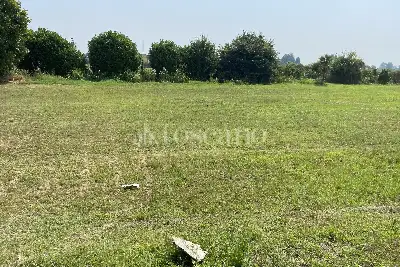 Agricolo in vendita, VIA CERCA , Settala