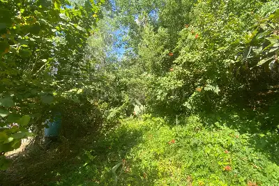 Agricolo in vendita, Via Verginia Tonelli, Roma