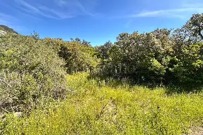 Agricolo in vendita, Telti via Monti Longu., Telti