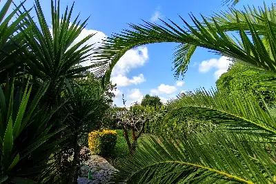 Casa Indipendente in vendita, Via Provinciale San Vito, Brindisi
