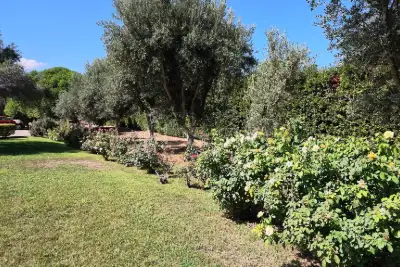 Casa Indipendente in vendita, Strada Vicinale Maccia Guletta, Sassari