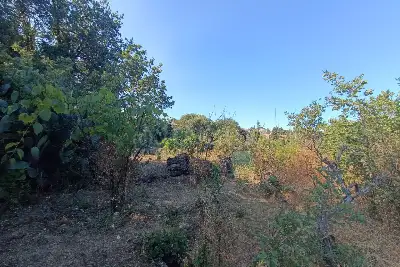 Edificabile Commerciale in vendita, Via Catania, Trecastagni