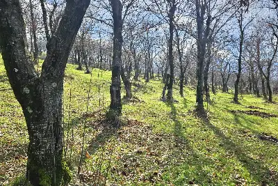 Agricolo in vendita, Contrada Tufarole, Contrada