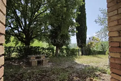 Casale in vendita, Strada Provinciale del Pecorile, Asciano