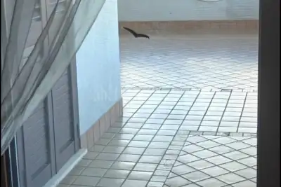 Villa in vendita, Via Le Ferriere, Latina