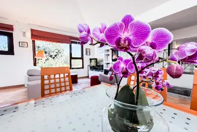 Villino a Schiera in vendita, Via Atene, Olbia, Olbia