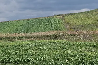 Agricolo in vendita, Trapani C/da Fittasi, Trapani