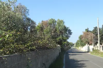 Edificabile Residenziali in vendita, Via Scalelle, Gallipoli