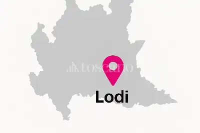 Negozio in affitto, Via Leonardo Da Vinci, Pieve Fissiraga