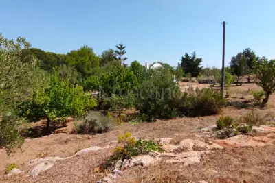 Casa Indipendente in vendita, Contrada Grottone, Ostuni