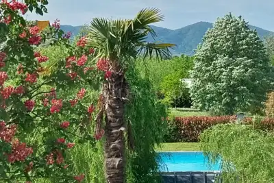 Casale in vendita, Via Cantone, Agliana