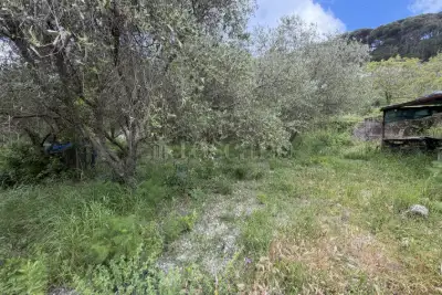 Agricolo in vendita, Via San Cosimo, Messina