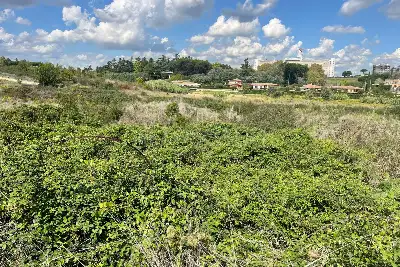 Edificabile Residenziali in vendita, Via Trotula de Ruggiero, Roma