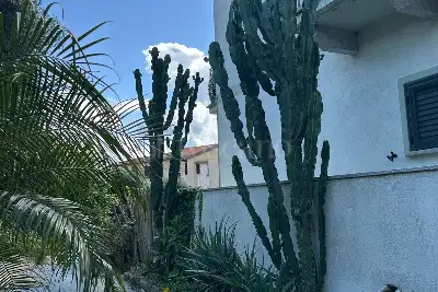 Casa in vendita, Via L. Fois, Arzachena