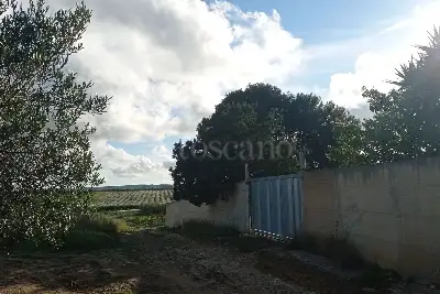 Rustico in vendita, Via Portelli, Misiliscemi