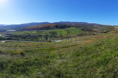 Agricolo in vendita, Località Caria Girifalco, Girifalco