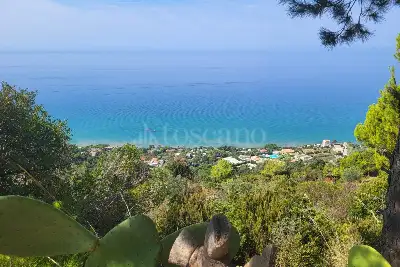 Agricolo in vendita, Località Vignole, San Mauro Cilento