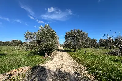 Villa in vendita, Contrada San Michele, San Michele Salentino