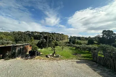 Villa in vendita, Via delle Querce, Lanuvio