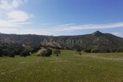 Agricolo in vendita, Loc Graminatoggiu , Loiri Porto San Paolo