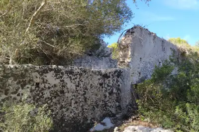 Agricolo in vendita, Noto, Noto