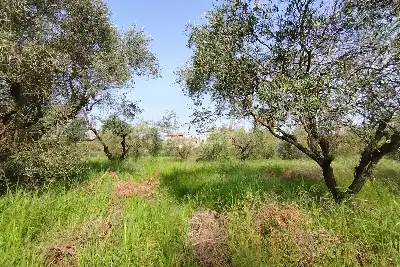 Agricolo in vendita, Terreno Zona Finocchio, Roma