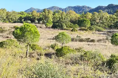 Albergo in vendita, Viale Cala Ginepro, Orosei