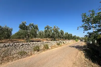 Villa in vendita, contrada Santa Caterina Grottone, Ostuni