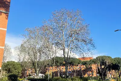 Casa in vendita, Via Gastone Giacomini, Roma