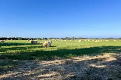 Agricolo in vendita, Viale delle Pagliete, Fiumicino
