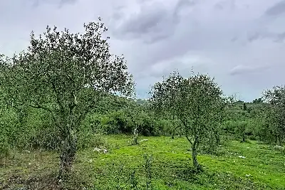 Agricolo in vendita, Strada Vicinale Taniga Baldella, Sennori