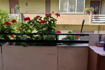 Casa in vendita, Via di Trigoria, Roma