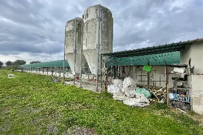 Capannone in vendita, Arlena di Castro, Arlena di Castro