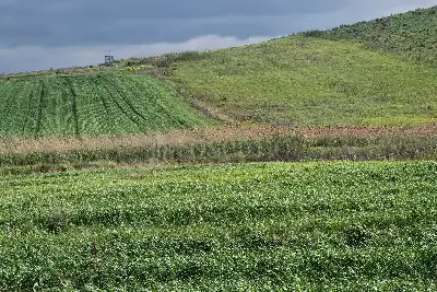 Agricolo in vendita, Trapani C/da Fittasi, Trapani