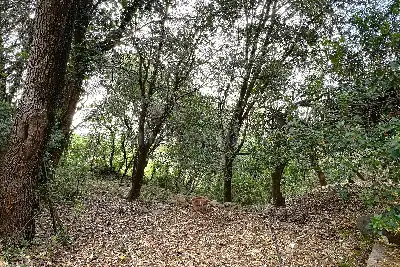 Villa in vendita, Strada Vicinale Monti Bianchinu 23, Sassari