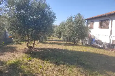 Agricolo in vendita, Vicolo della Patatona , Ciampino