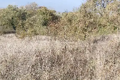Agricolo in vendita, Frazione Grotte Santo Stefano - Viterbo, Viterbo