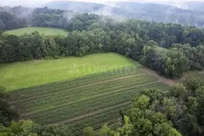 Agricolo in vendita, Via Veroncora, Busto Arsizio, Busto Arsizio