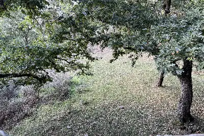 Casale in vendita, Castello Dell'Impallaccionata, Caronia