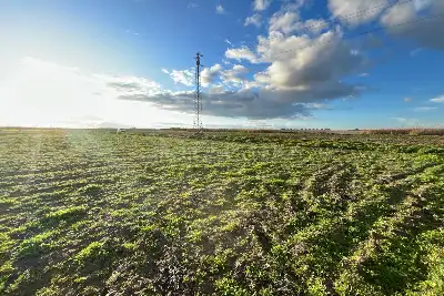 Agricolo in vendita, zona Macchione, Cerignola