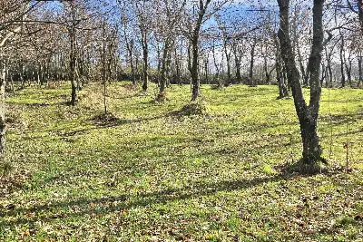 Agricolo in vendita, Contrada Tufarole, Contrada
