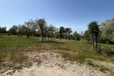 Villa Bifamiliare in vendita, Strada Vicinale Mandra di l'Ainu, Sassari