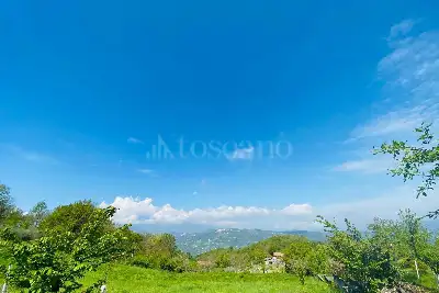 Agricolo in vendita, Via delle foreste, Manocalzati, Manocalzati