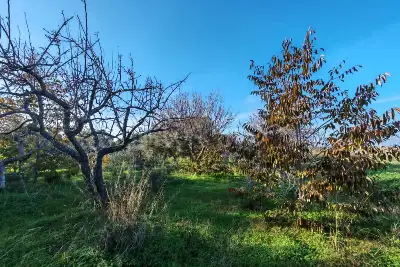 Capannone in vendita, SS16, Brindisi