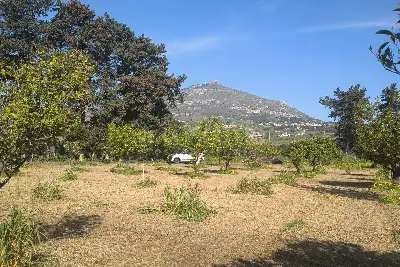 Agricolo in vendita, Via Emanuela, Erice