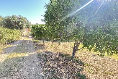 Casa Indipendente in vendita, C/da Malapezza Spartà, Messina