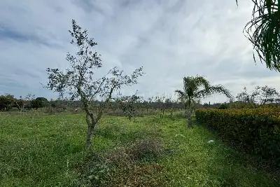 Villa in vendita, Strada Provinciale 71, Oria