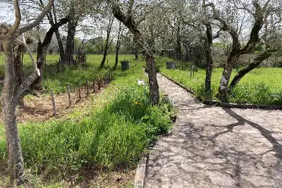Casa Indipendente in vendita, Via Rocco Pellettieri, 21 località San Giovanni, Viggiano (PZ), Viggiano