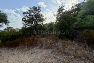 Agricolo in vendita, Via Raica, Olbia